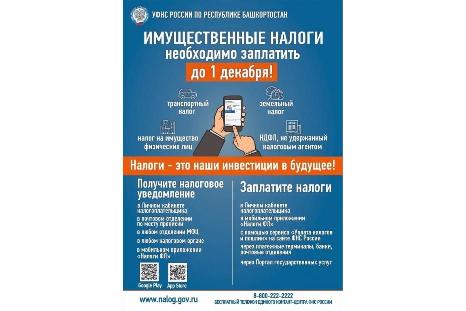 Срок уплаты имущественных налогов за 2021 год - 1 декабря 2022 года