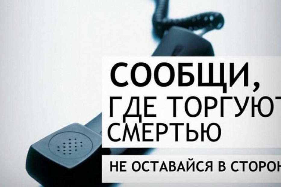 Сообщи, где торгуют смертью