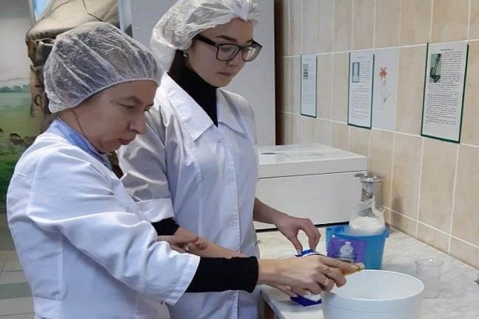 В Башкирском ГАУ разработали рецепт мороженого с прополисом и пыльцой