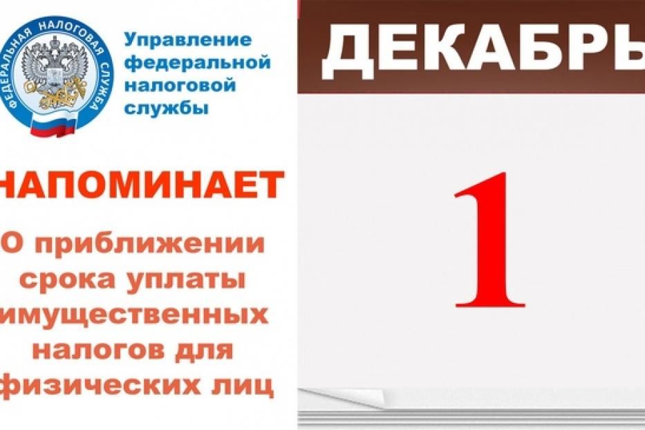 Время платить: 1 декабря 2021 года истекает срок уплаты имущественных налогов