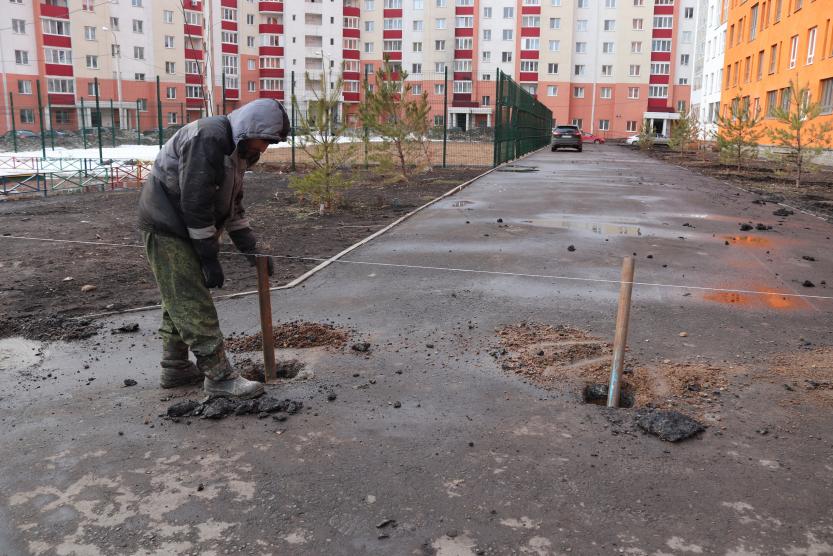 Кто убирает тротуары. Деревья и кустарники пришкольного участка. Деревья и кустарники отдел пришкольного участка. Аллея Энергетиков Красноярск. Помывка деревьев в городе.