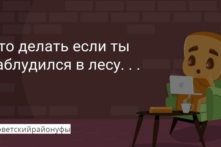 Пойти в лес и не заблудиться
