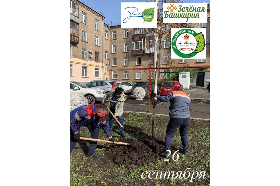 Акция «Зеленая Башкирия» пройдет в Калининском районе