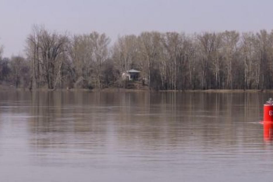Уровень воды в реке уфа на сегодня. Река Шакша Уфа. Уровень реки Уфы в Шакше. Уровень воды река белая 2020. Белая река Шакша.