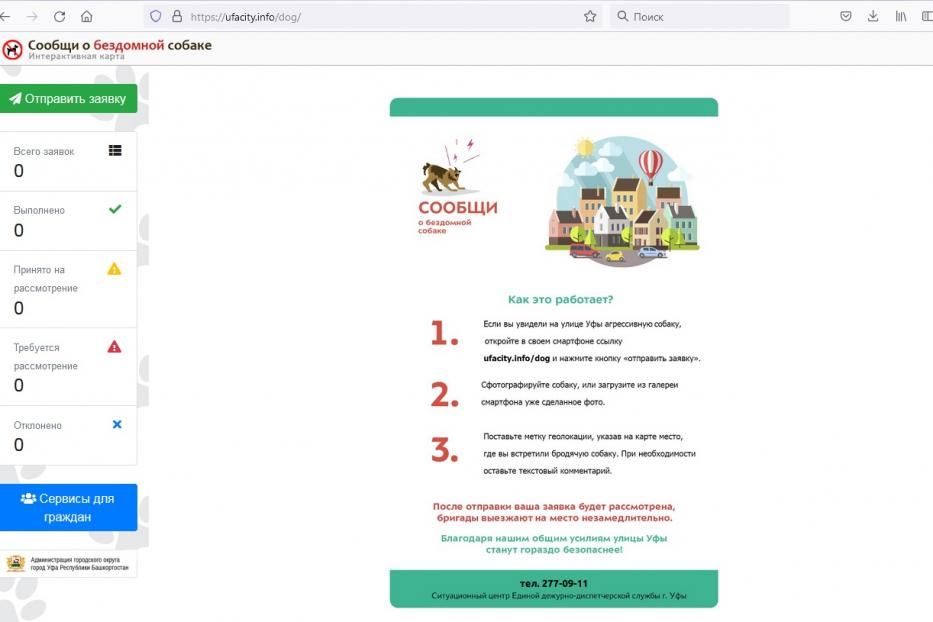 Демчане смогут сообщить о бездомной собаке, оставив заявку на интерактивной карте «Сообщи о бездомной собаке»