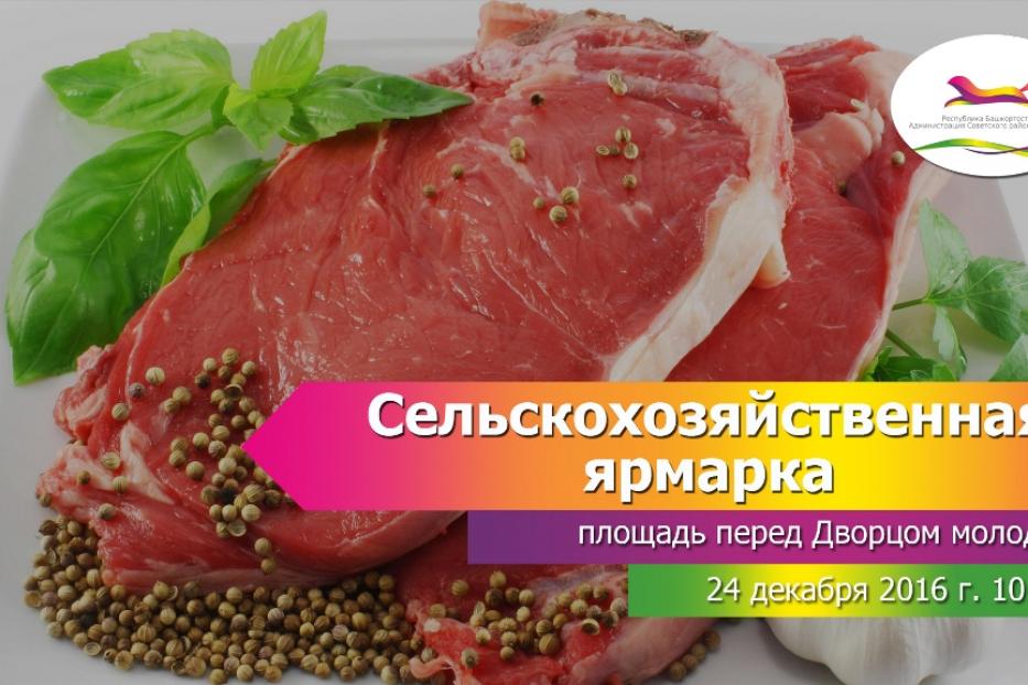 На площади перед Дворцом молодежи пройдет предновогодняя ярмарка