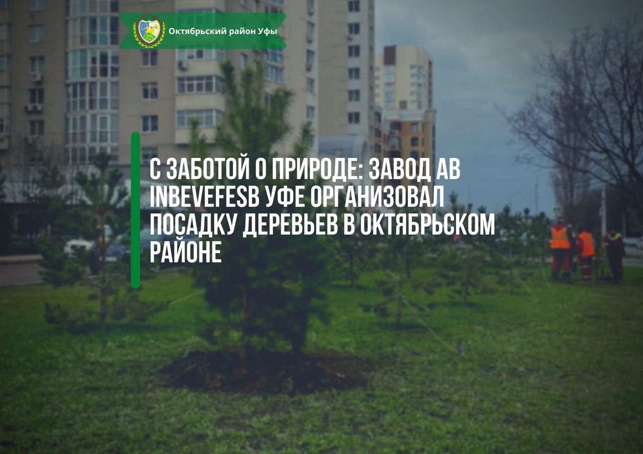 С заботой о природе: завод AB InBevEfes организовал посадку деревьев в Октябрьском районе