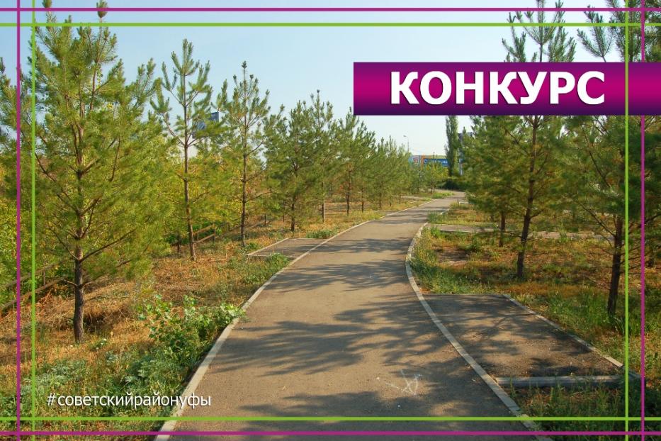 Продолжается конкурс на название сквера, расположенного на улице Губайдуллина