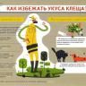 С приходом весны клещи активизируются - будьте осторожны!