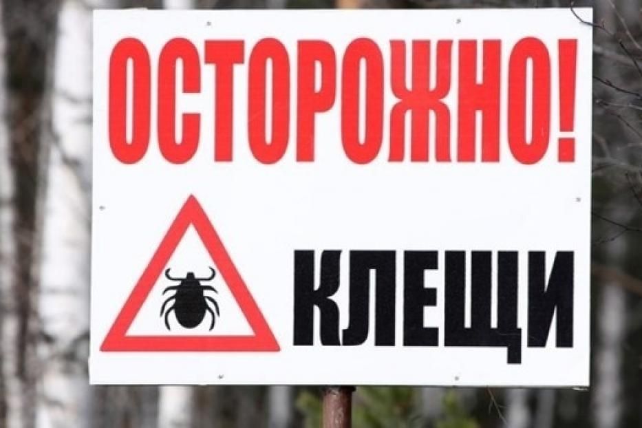 Клещевой энцефалит и его профилактика 