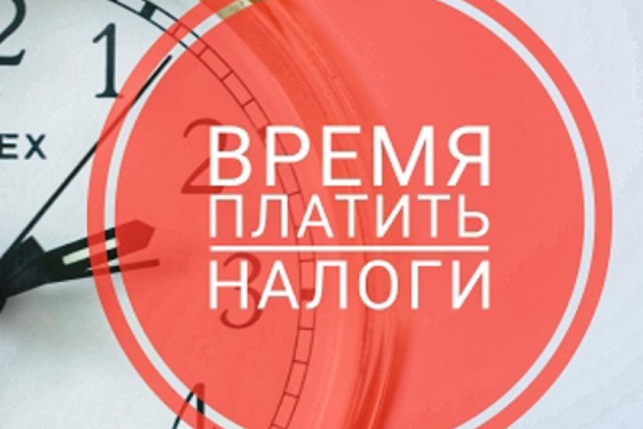 Плати налоги картинка