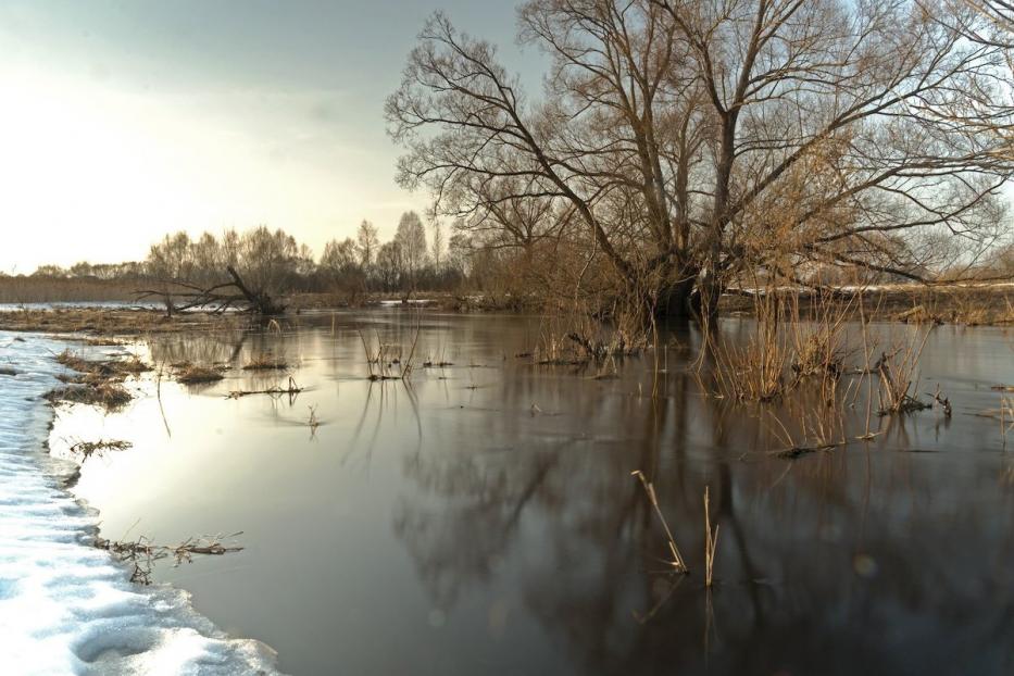 Большая вода: что делать?