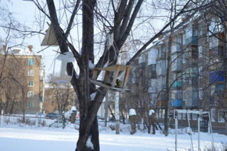 Стартовала ежегодная акция «Птицы родного края»