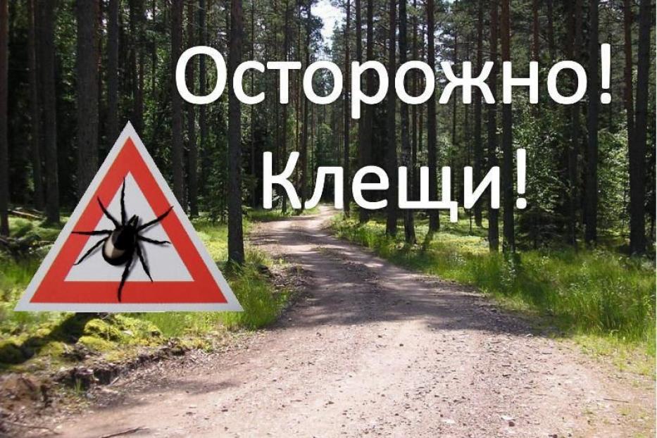 Осторожно, клещи!