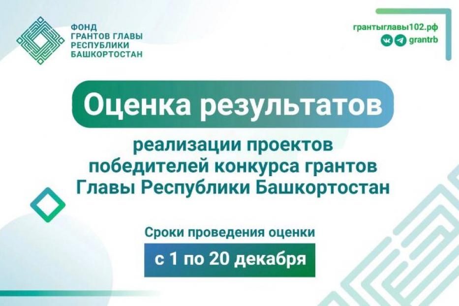Определите ТОП-10 лучших и высоко оцененных проектов конкурсов грантов Главы Республики Башкортостан