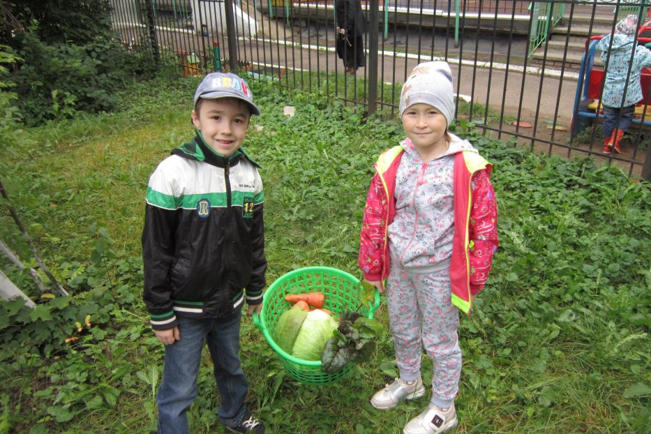 В Детском саду № 278 Советского района провели тематический день «Труд людей осенью»