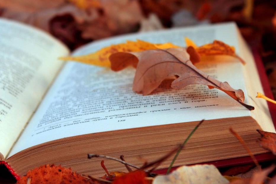 Массовые библиотеки Уфы проведут флешмоб «Болдинская осень»