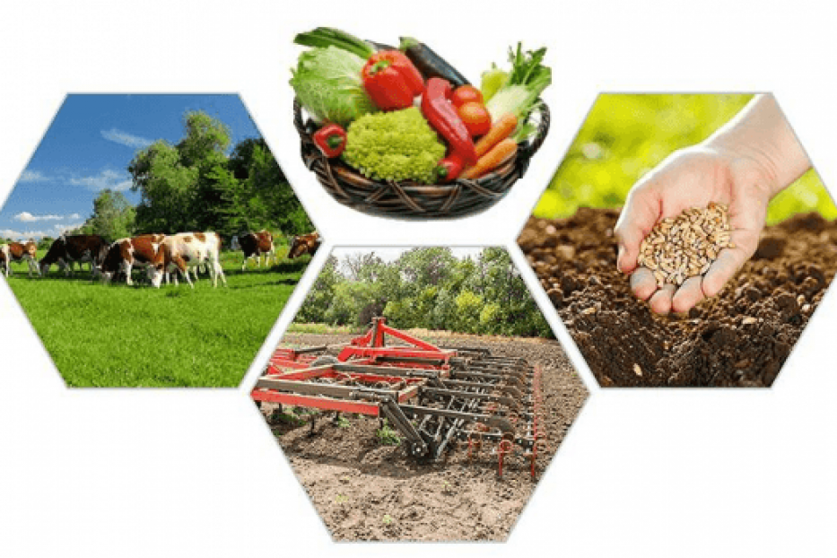 Система поддержки фермеров и развитие сельской кооперации