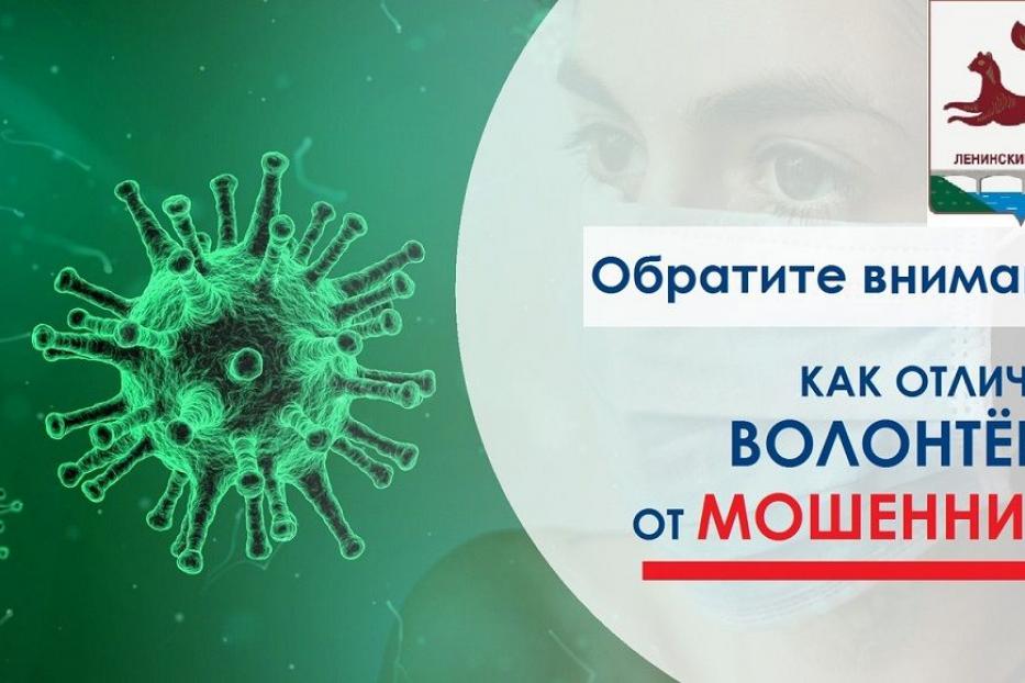 Обратите внимание: как отличить волонтера от мошенника