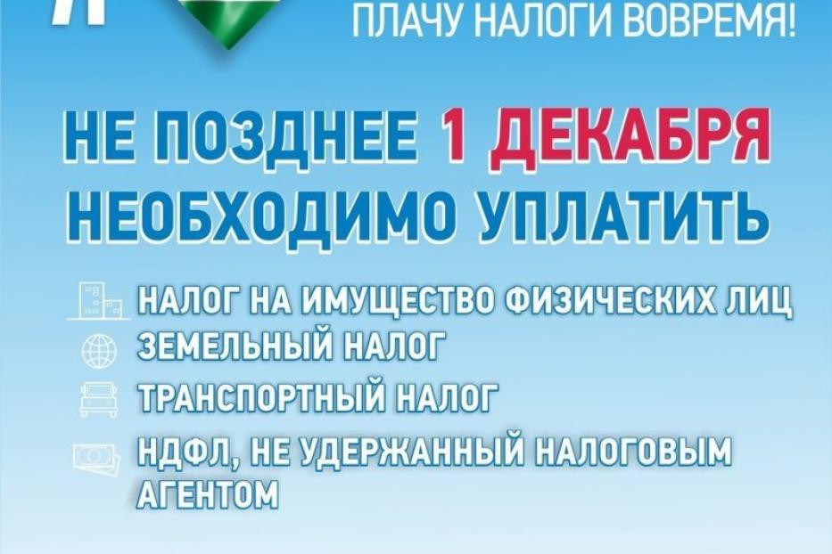 Срок уплаты гражданами имущественных налогов истекает 1 декабря! 