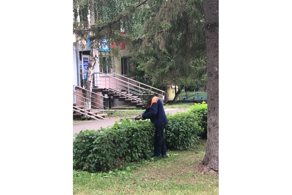 На страже чистоты
