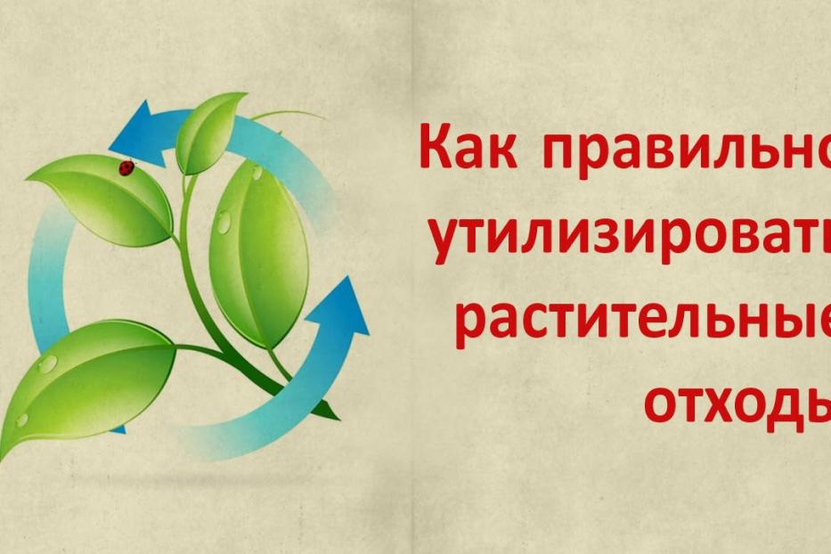 Как правильно складировать растительные отходы и в каких местах