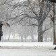 В Уфе ожидается усиление ветра и мокрый снег