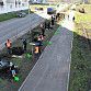 В микрорайоне Затон высадили 60 деревьев мелколистной липы