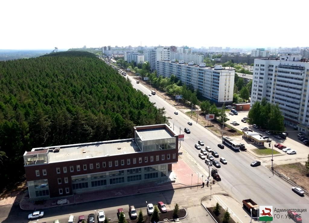 Новый облик привычных витрин