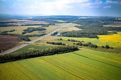 фото: Олег Меньков