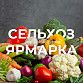 За продуктами – на ярмарку 