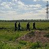 Лес без огня