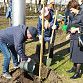 В Уфе проходит общегородской субботник и посадка деревьев в рамках акции «Зеленая Башкирия»