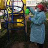 В Кировском районе проводится обработка подъездов