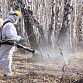 В Уфе ведется санобработка территорий от насекомых и грызунов