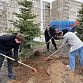 В Уфе запустили акцию «Зеленая Башкирия»