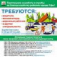 Службы по благоустройству и учреждения коммунальной сферы Уфы приглашают на работу