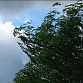 В Уфе ожидаются гроза и порывы ветра до 16 м/с